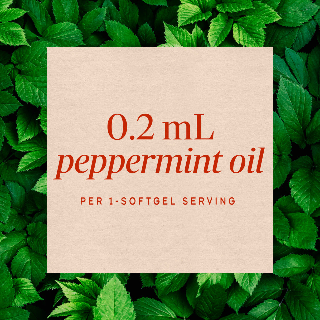 <{%MAIN3_14537%}>Nature's Way® | Pepogest (Peppermint Oil)