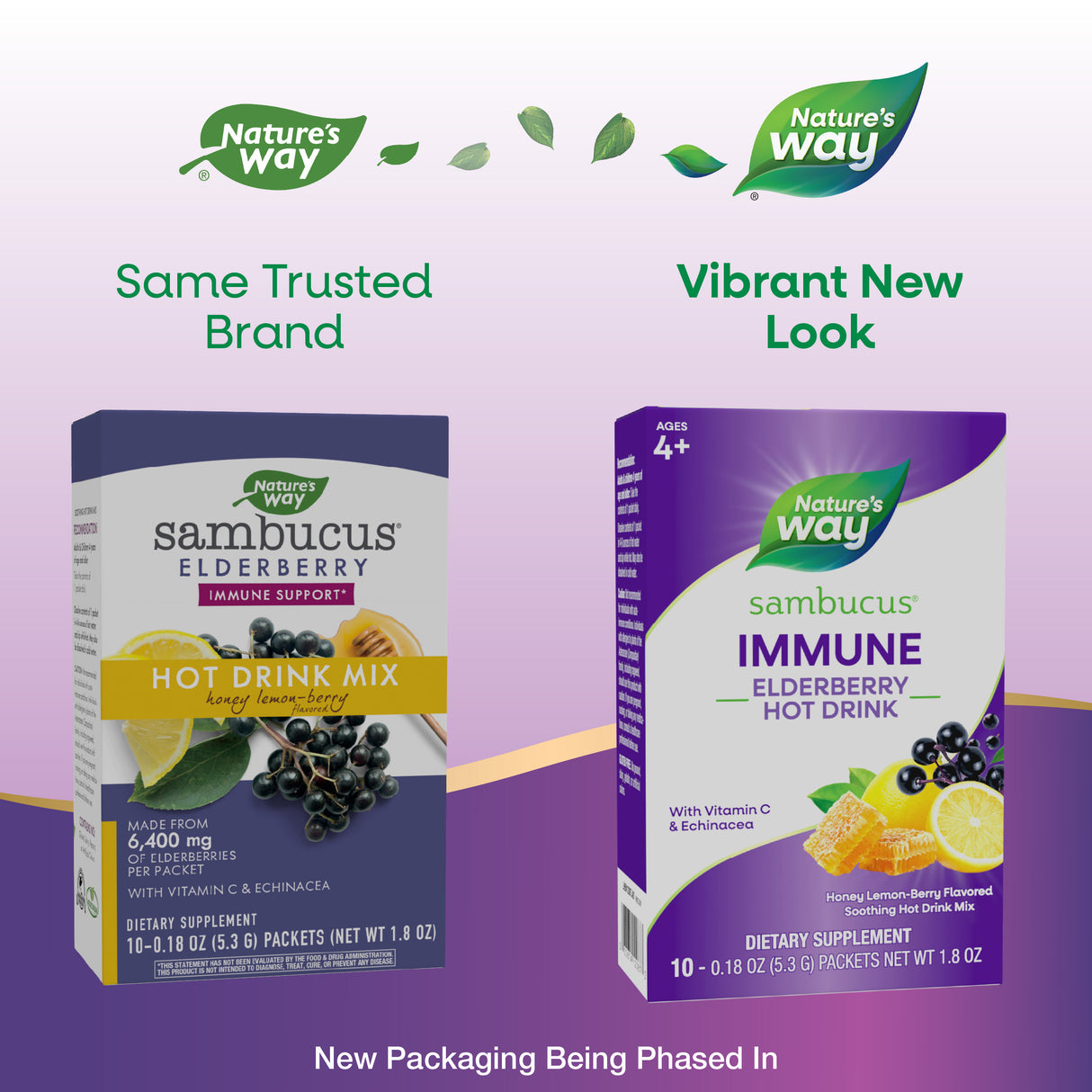 <{%MAIN1_12087%}>Nature's Way® | Sambucus Immune Elderberry Hot Drink