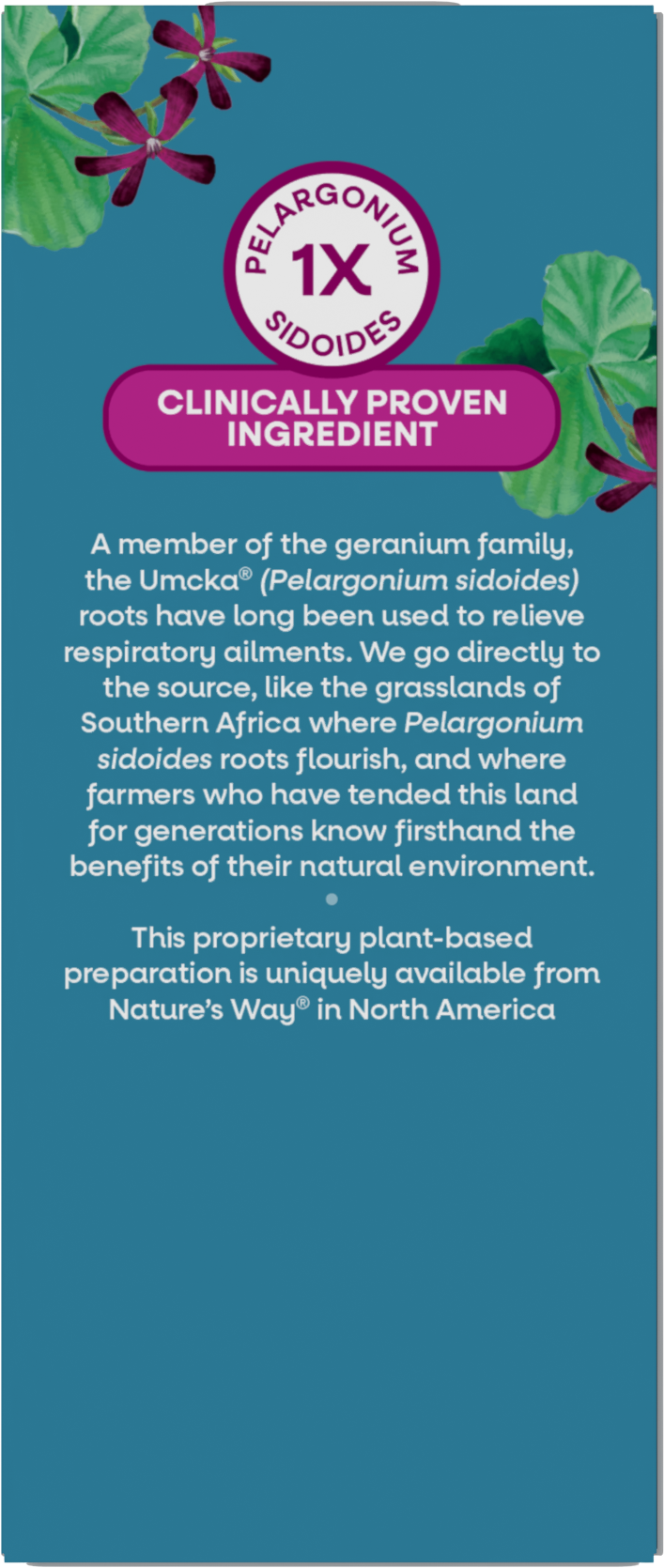 <{%360IMAGE10_15272%}>Nature's Way® | Umcka Cold Relief Syrup - back of pack