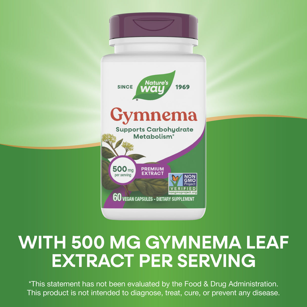 <{%MAIN3_63700%}>Nature's Way® | Gymnema