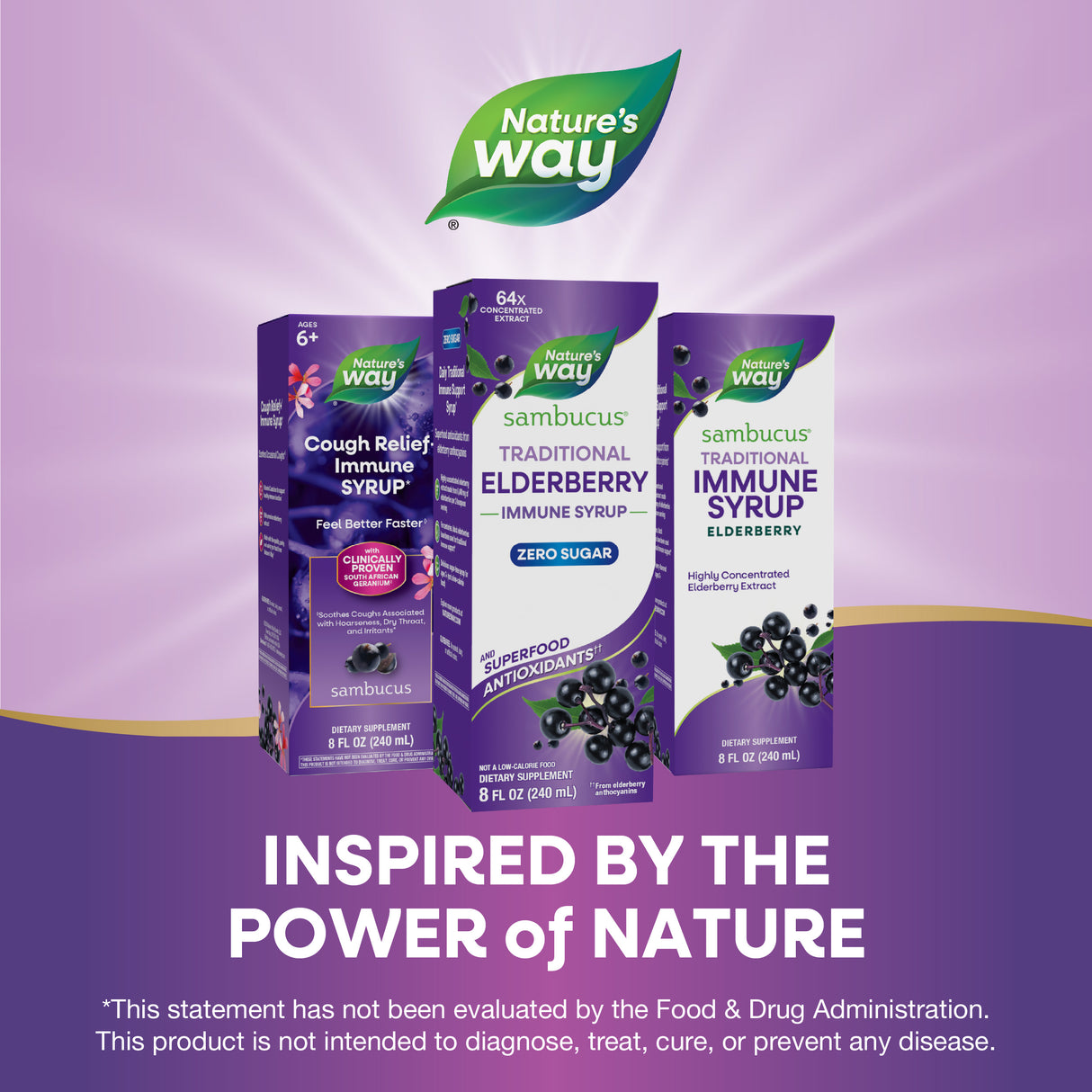 <{%MAIN11_15331%}>Nature's Way® | Sambucus Zero Sugar Traditional Elderberry Immune Syrup