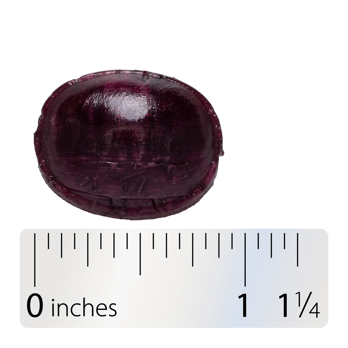 <{%360IMAGE4_12709%}>Nature's Way® | Sambucus Immune Lozenges - Lozenge and ruler