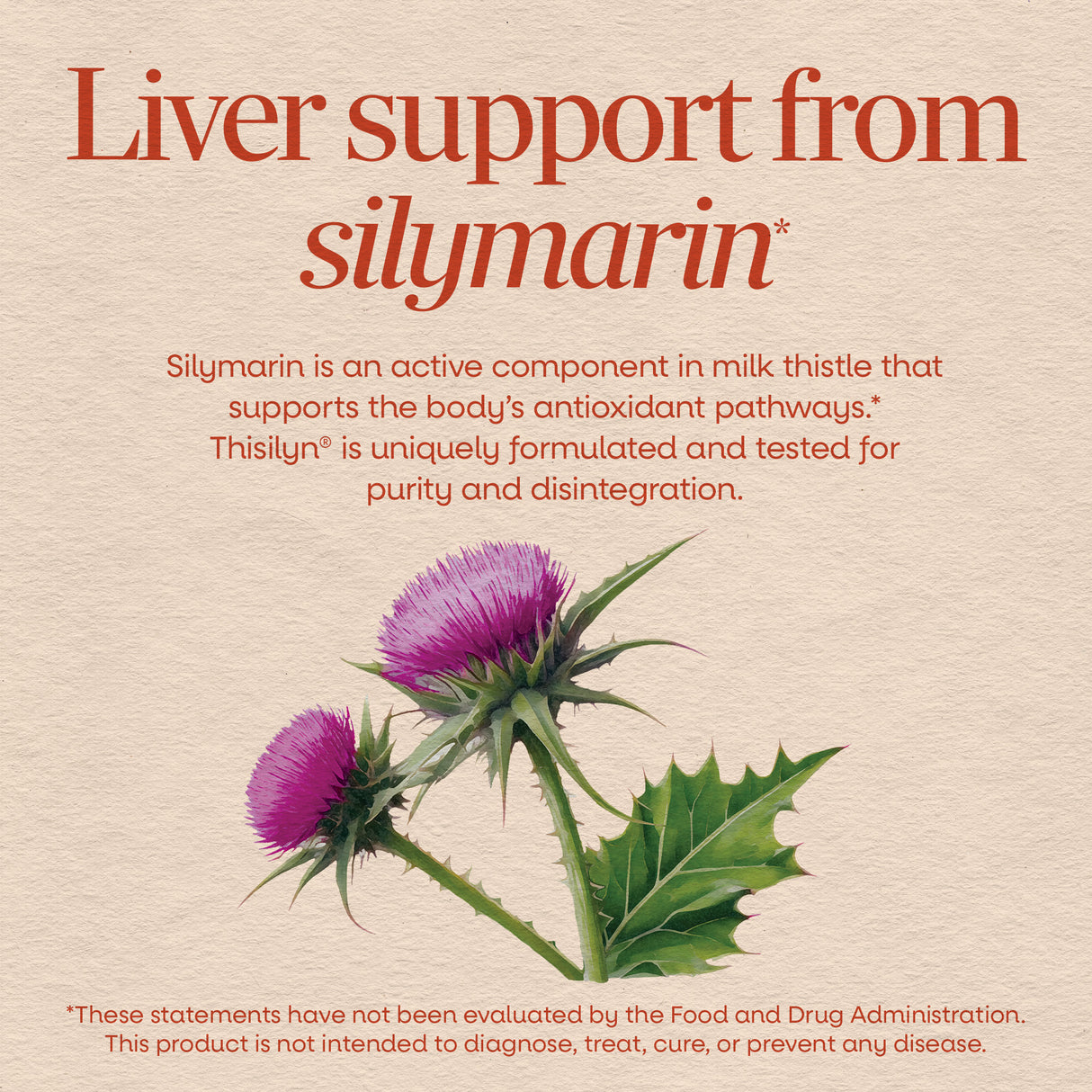 <{%MAIN2_6958%}>Nature's Way® | Thisilyn Milk Thistle Extract
