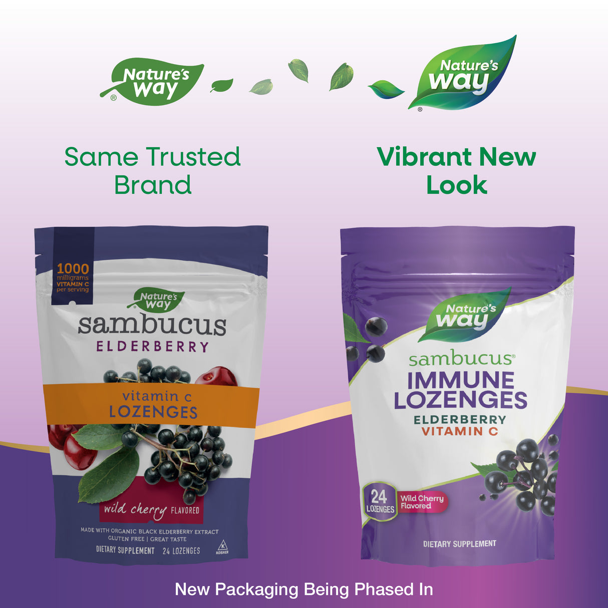 <{%MAIN1_12709%}>Nature's Way® | Sambucus Immune Lozenges