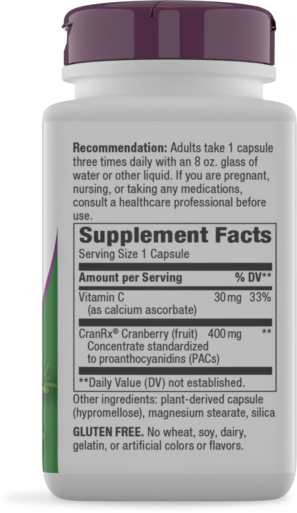 <{%360IMAGE5_15134%}>Nature's Way® | Cranberry Premium Blend - right side of pack