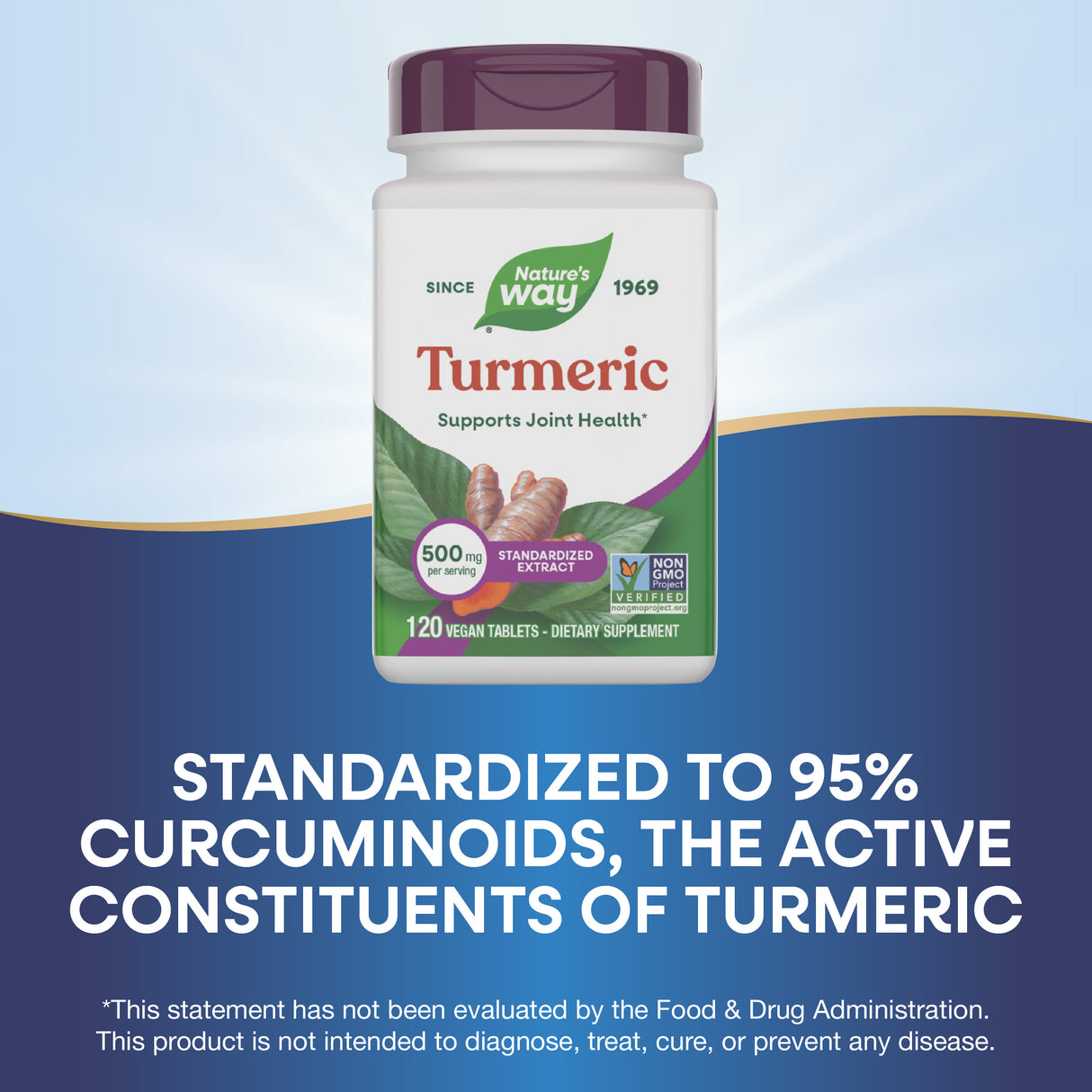 <{%MAIN3_15356%}>Nature's Way® | Turmeric Premium Extract