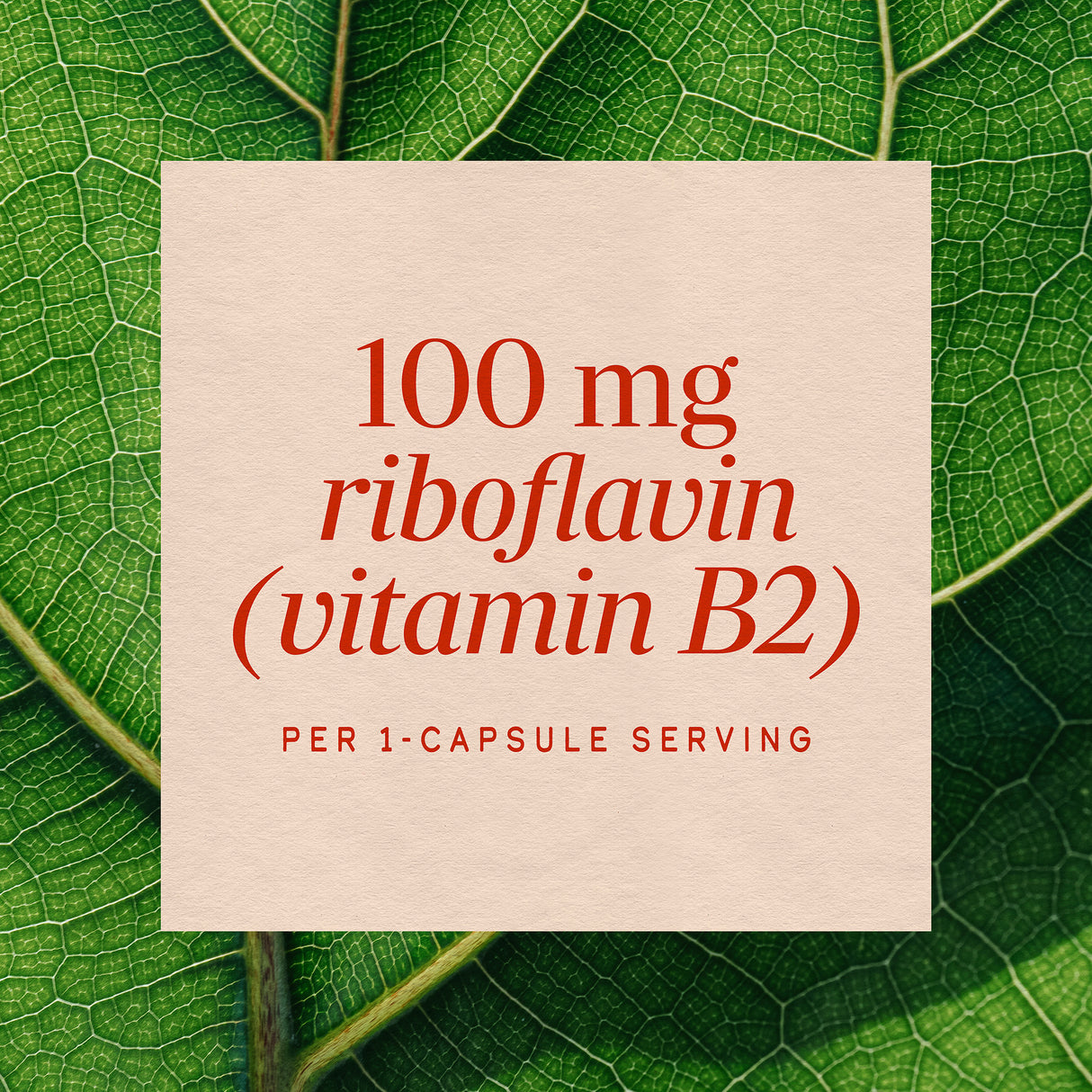 <{%MAIN3_40421%}>Nature's Way® | Riboflavin Vitamin B2