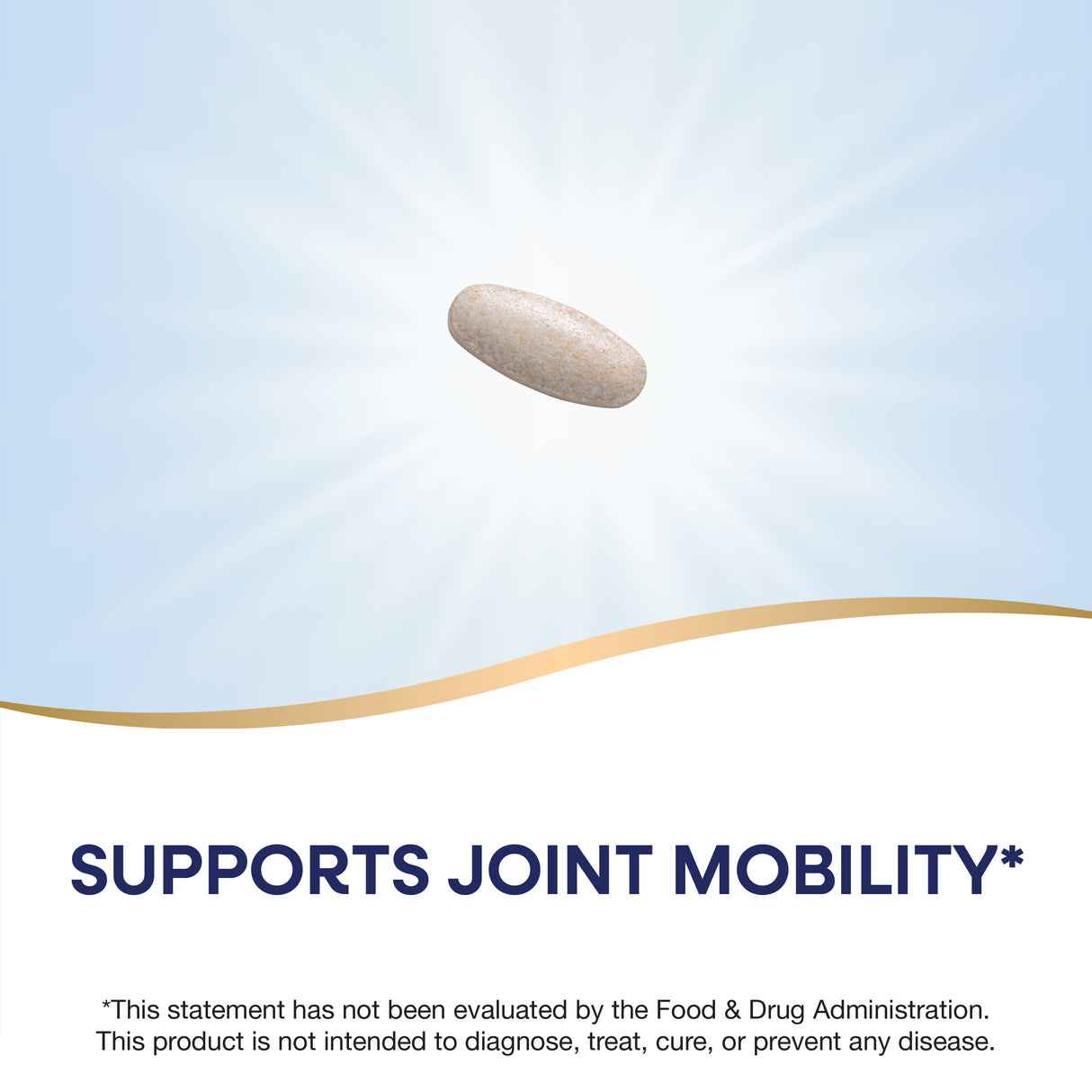 <{%MAIN2_64400%}>Nature's Way® | Boswellia Standardized Extract