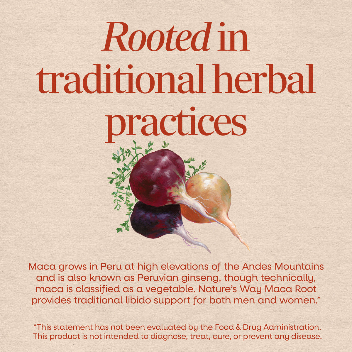 <{%MAIN2_15310%}>Nature's Way® | Maca Root