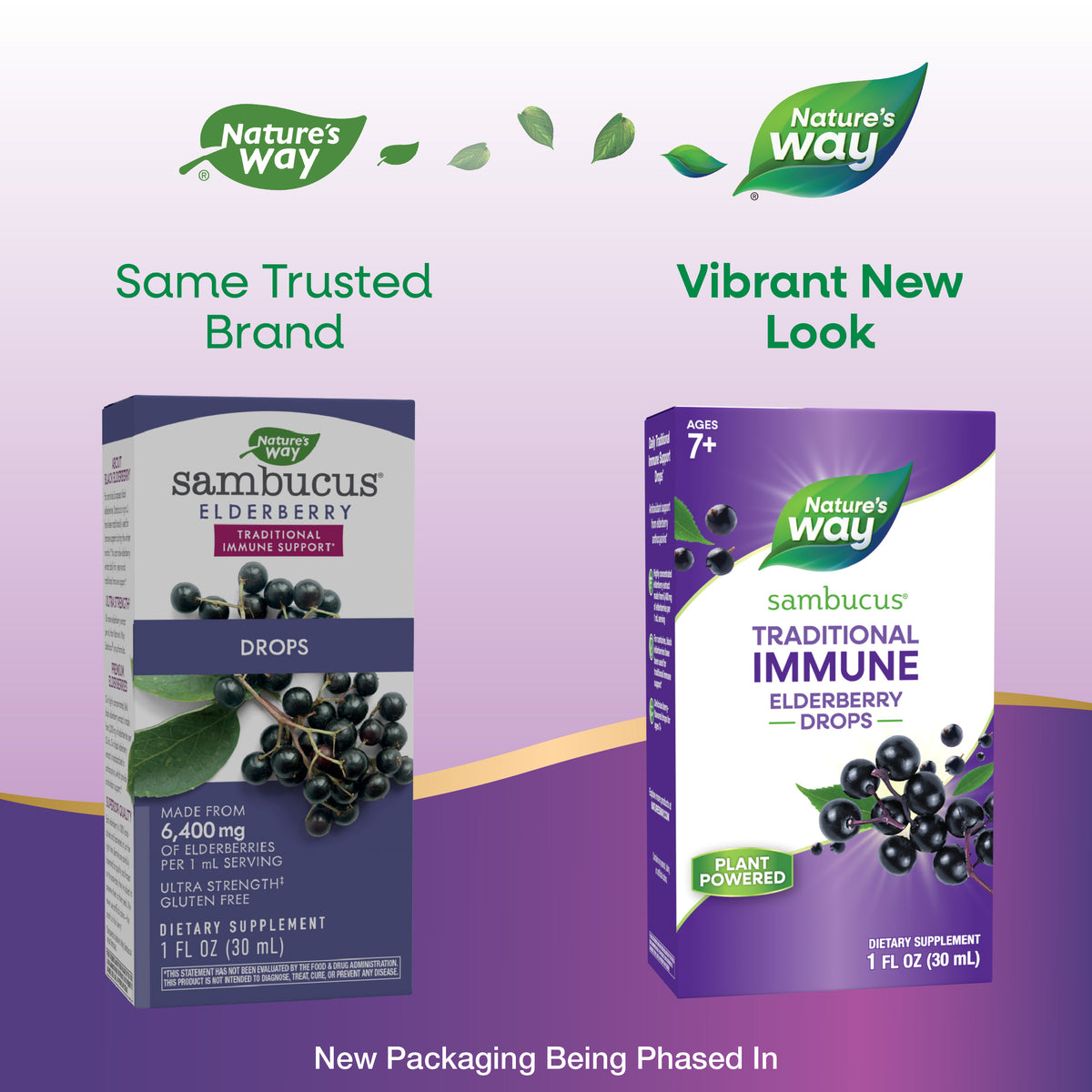 <{%MAIN1_10493%}>Nature's Way® | Sambucus Traditional Immune Elderberry Drops