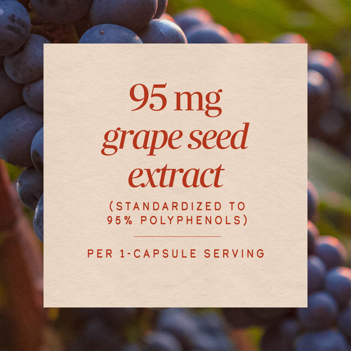 <{%MAIN10_14320%}>Nature's Way® | Grape Seed Standardized Extract
