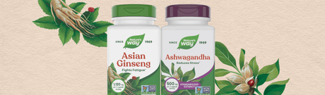 The Best Herbs for Stress Management*