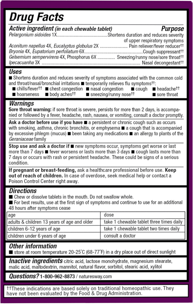 <{%MAIN2_15161%}>Nature's Way® | Umcka Cold+Flu Relief Chewables - back of pack