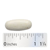 Nature's Way® | Cholesterol Shield - Tablet and ruler Sku:05519
