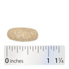 Nature's Way® | Alive! Men's Complete Multivitamin - Tablet and ruler Sku:13660