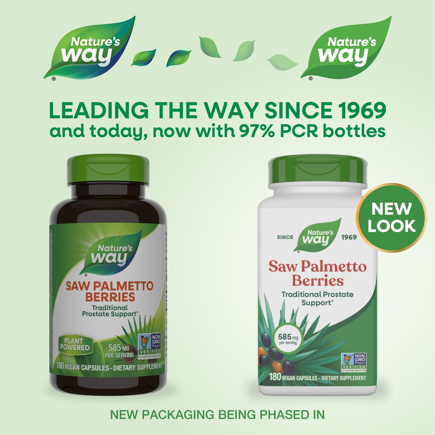 <{%MAIN1_16758%}>Nature's Way® | Saw Palmetto Berries