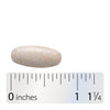 Nature's Way® | Boswellia Standardized Extract - Tablet and ruler Sku:64400