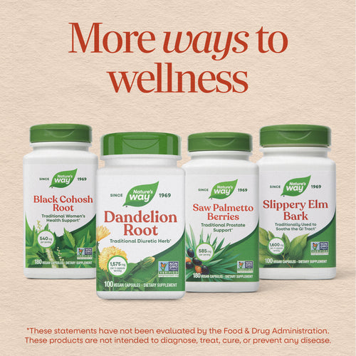 Nature's Way® | Dandelion Root Sku:15336