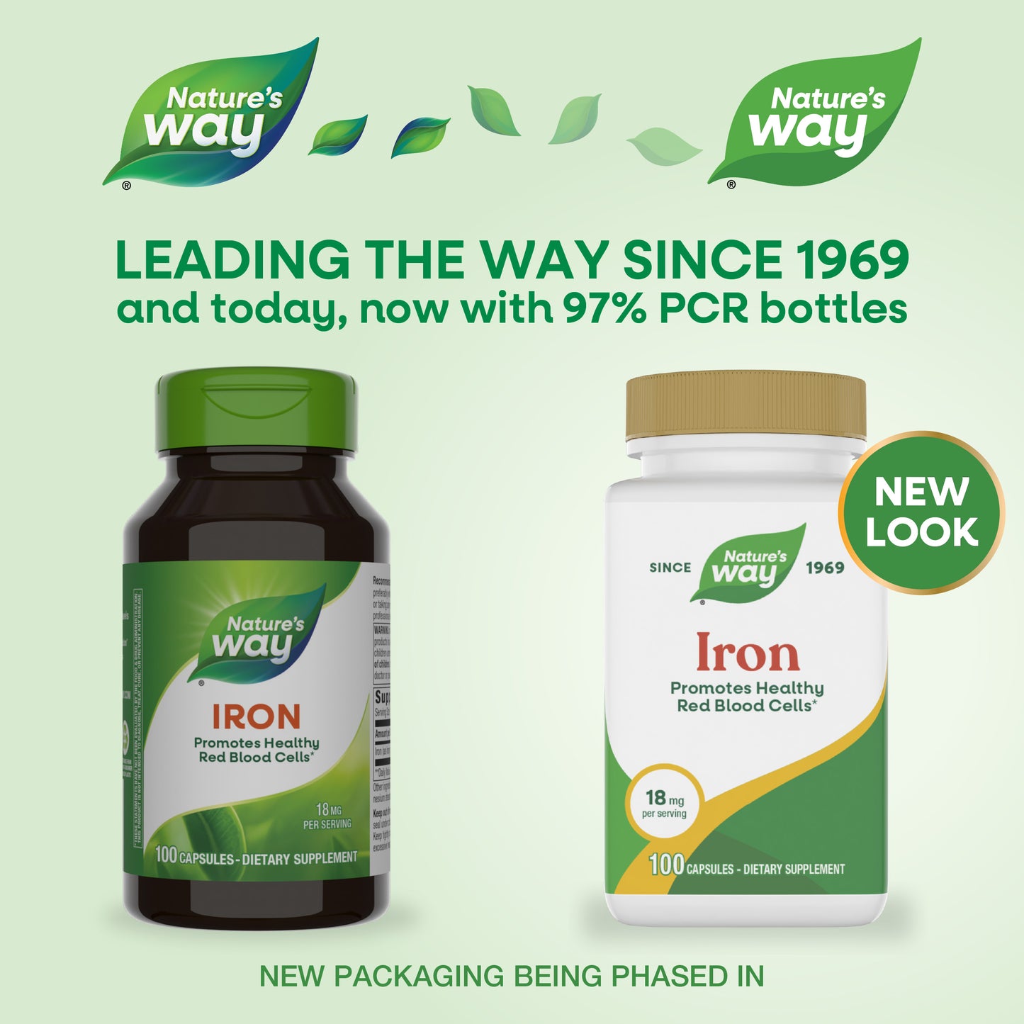 <{%MAIN1_41041%}>Nature's Way® | Iron