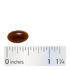 Nature's Way® | Petadolex Pro-Active - Softgel and ruler Sku:04806