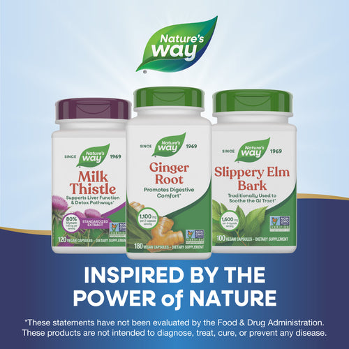 Nature's Way® | Ginger Root Sku:13108