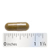 Nature's Way® | Alfalfa - Capsule and ruler Sku:10100