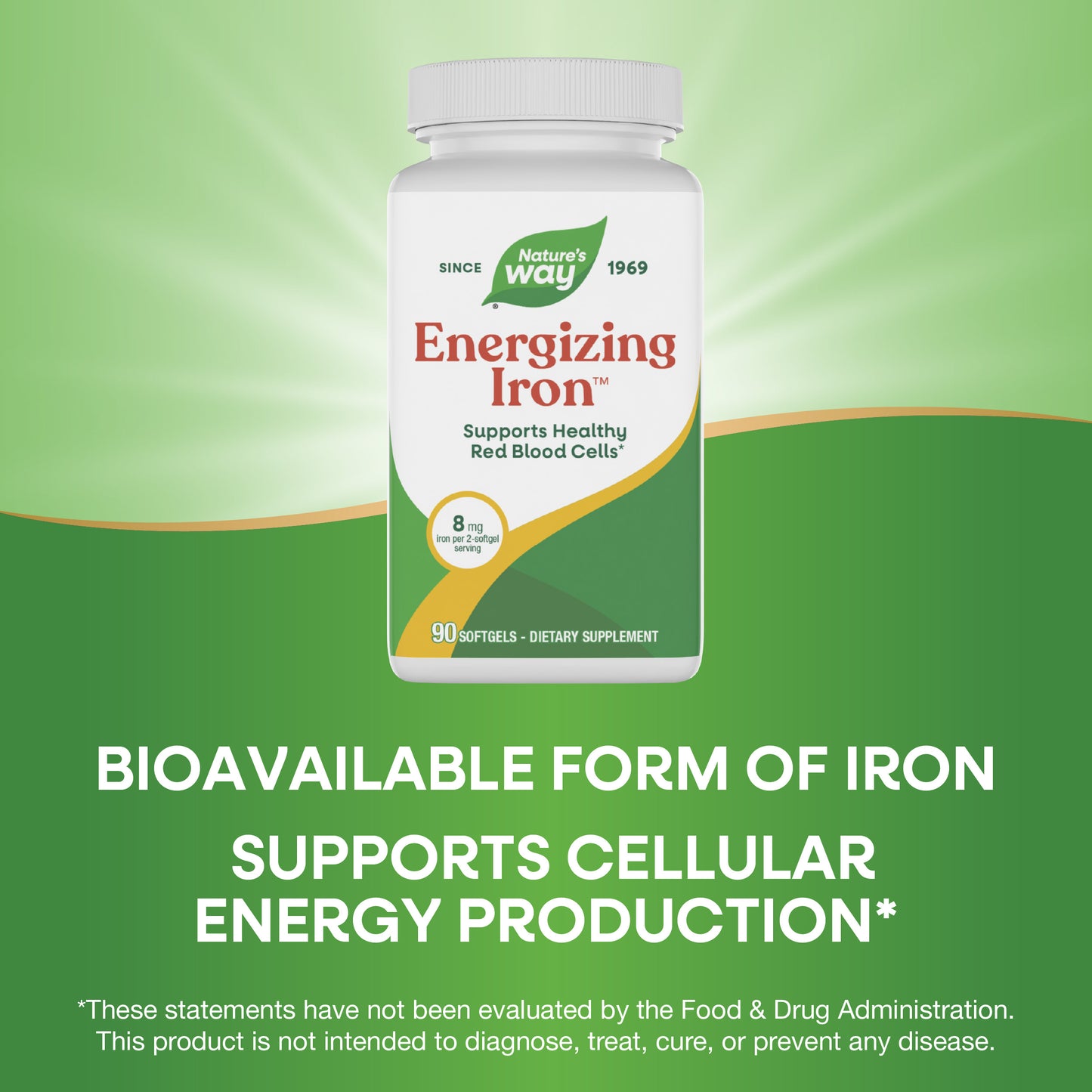 <{%MAIN6_05219%}>Nature's Way® | Energizing Iron