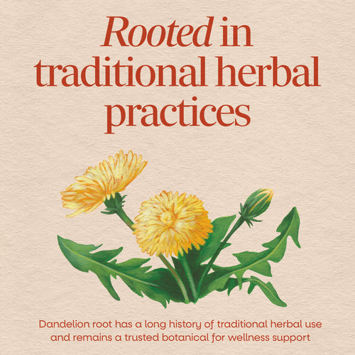 Nature's Way® | Dandelion Root Sku:15336