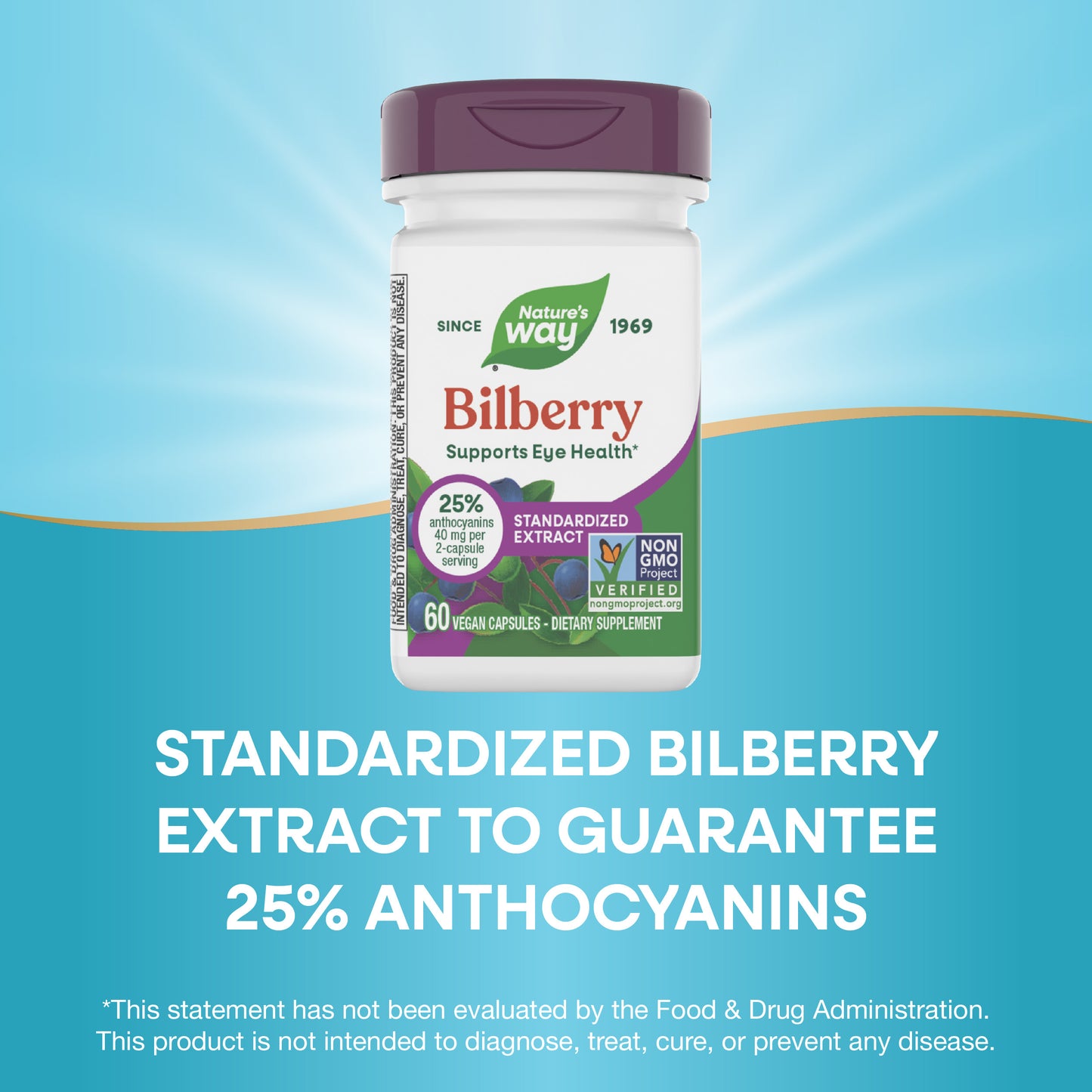 <{%MAIN6_60500%}>Nature's Way® | Bilberry