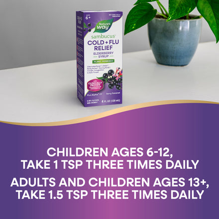 Sambucus Cold+Flu Relief Elderberry Syrup Supplement Facts
