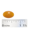 Nature's Way® | Phosphatidylserine - Softgel and ruler Sku:45161