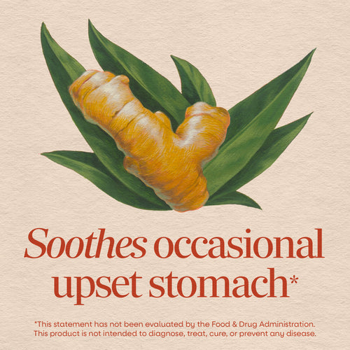 Nature's Way® | Ginger Root Sku:13100