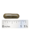 Nature's Way® | Kelp - Capsule and ruler Sku:14500