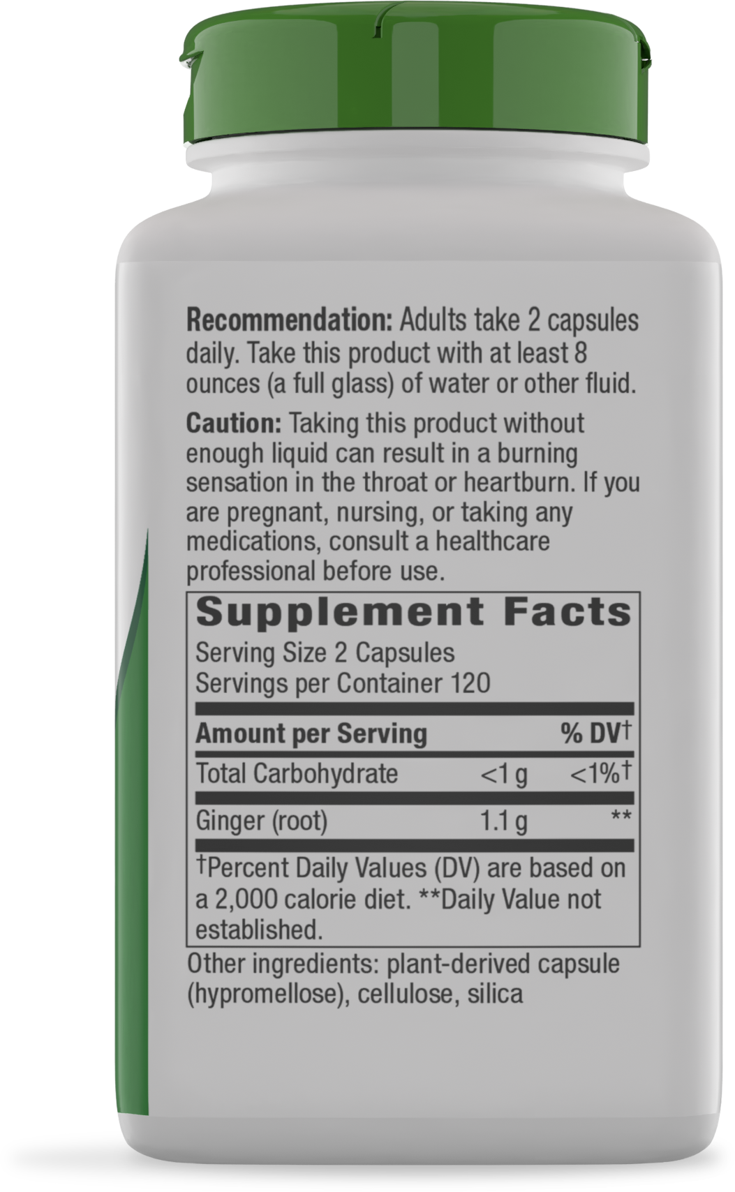 <{%MAIN26_11926%}>Nature's Way® | Ginger Root - right side of pack