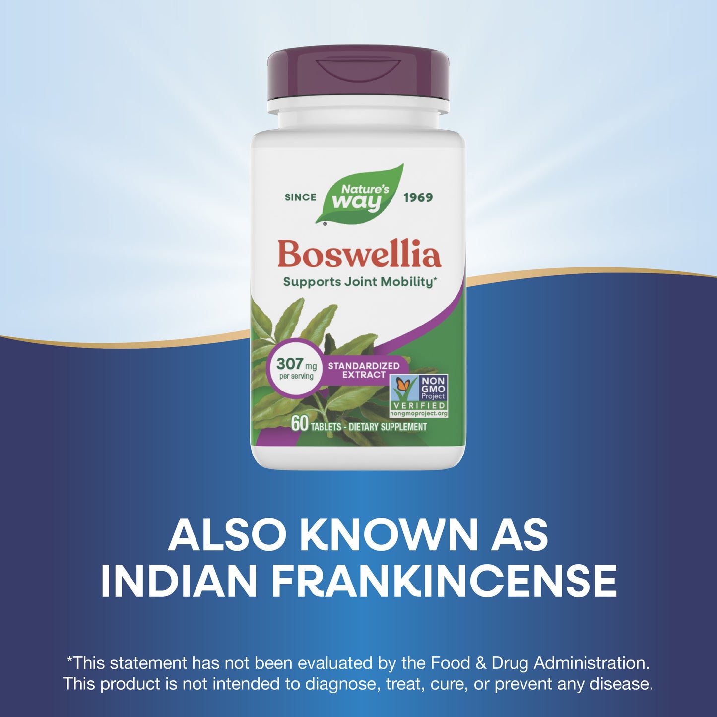 <{%MAIN6_64400%}>Nature's Way® | Boswellia Standardized Extract