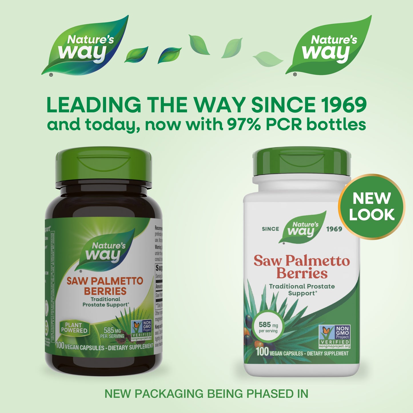 <{%MAIN9_16750%}>Nature's Way® | Saw Palmetto Berries