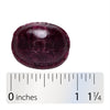 Nature's Way® | Sambucus Immune Lozenges - Lozenge and ruler Sku:12089