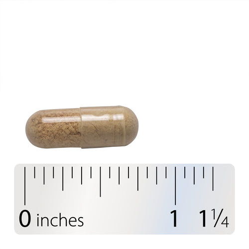 Nature's Way® | Super Milk Thistle - Capsule and ruler Sku:08102