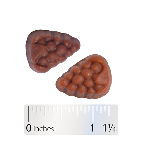 Nature's Way® | Alive! Women's Gummy Multivitamin - Gummy and ruler Sku:15903