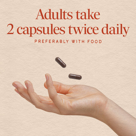 Black Elderberry Supplement Facts