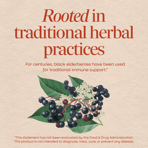 Nature's Way® | Black Elderberry Sku:12440