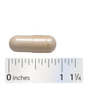Nature's Way® | Hydraplenish with MSM - Capsule and ruler Sku:15603