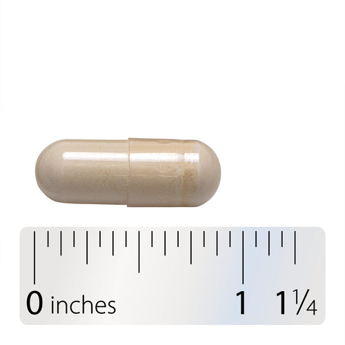Nature's Way® | Hydraplenish with MSM - Capsule and ruler Sku:15603