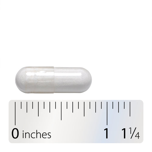 Nature's Way® | Lactose Defense Digestive Enzymes - Capsule and ruler Sku:47110