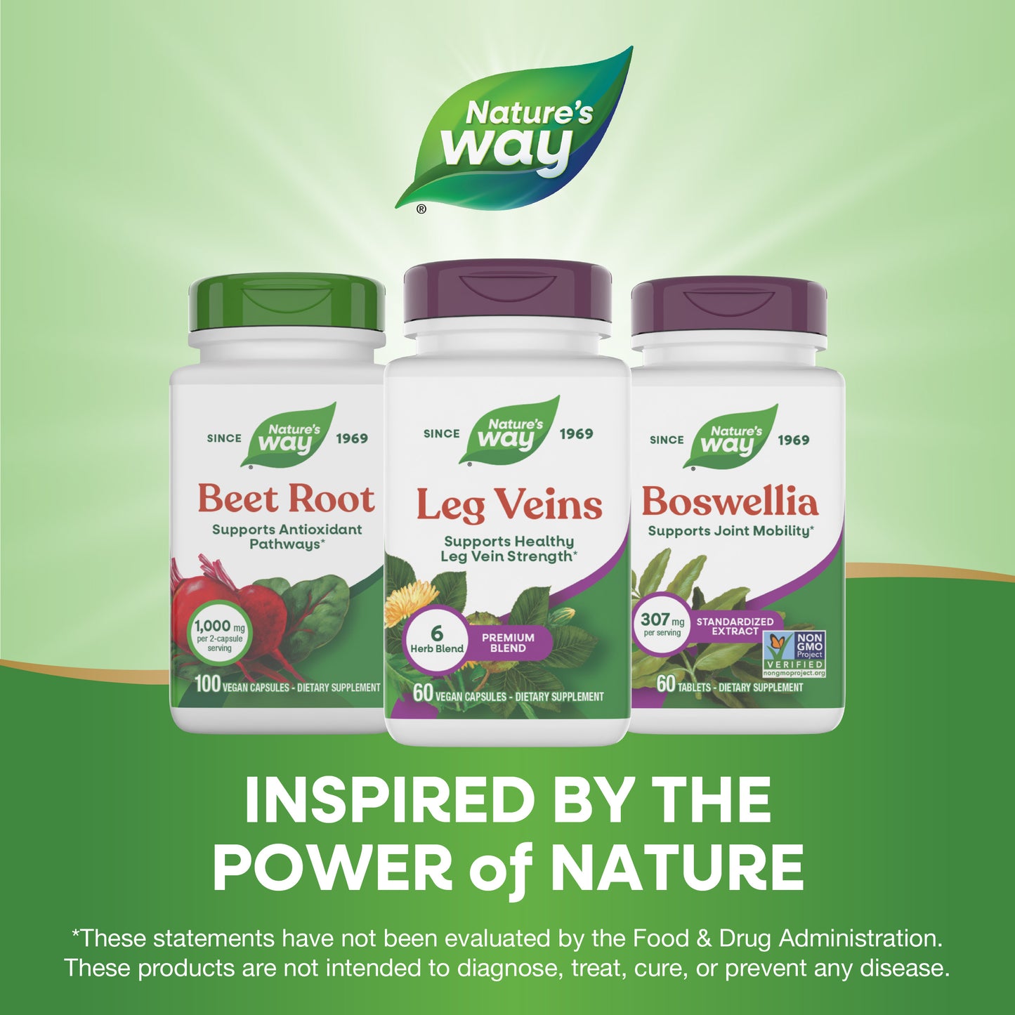 <{%MAIN5_79270%}>Nature's Way® | Leg Veins Premium Blend