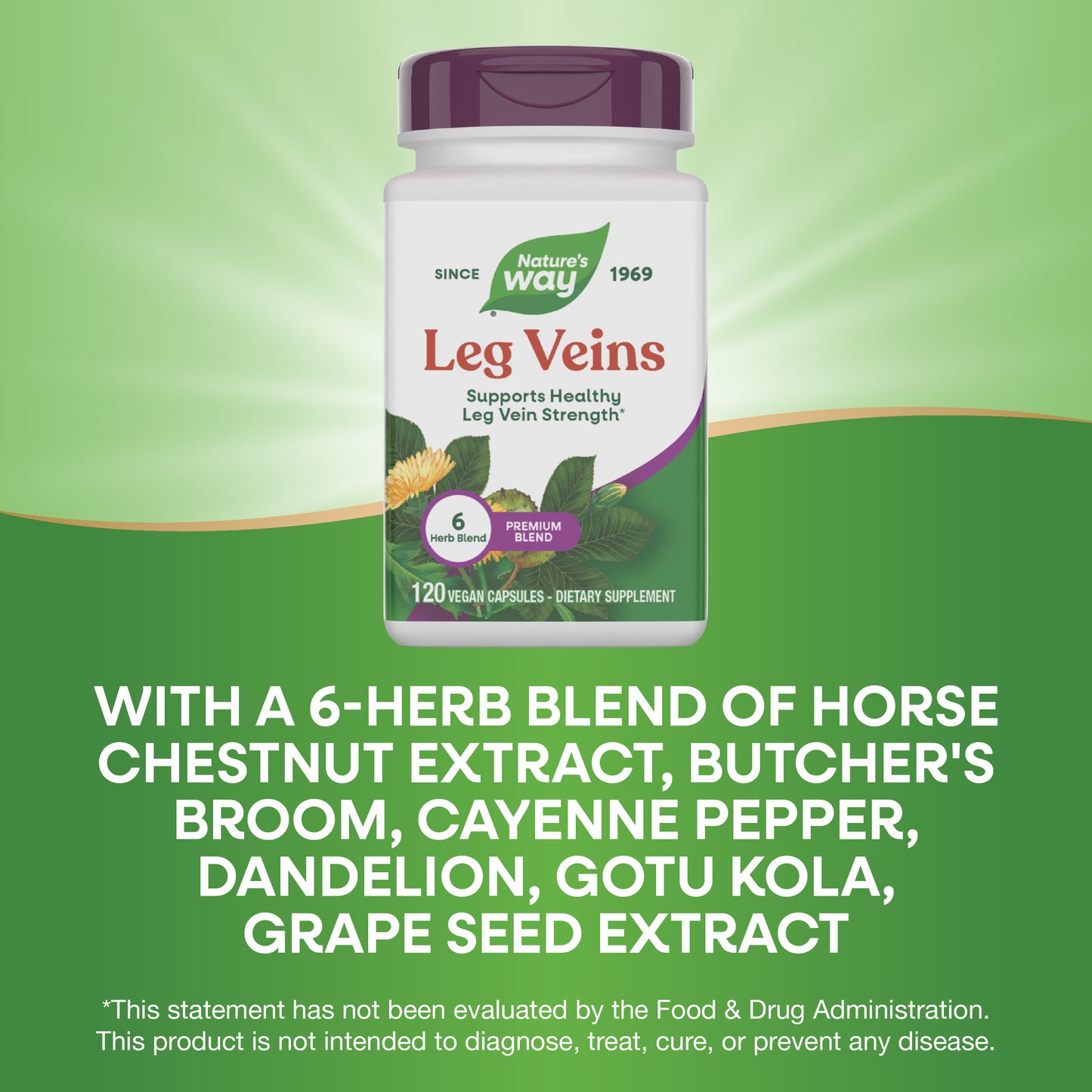 <{%MAIN15_15335%}>Nature's Way® | Leg Veins Premium Blend