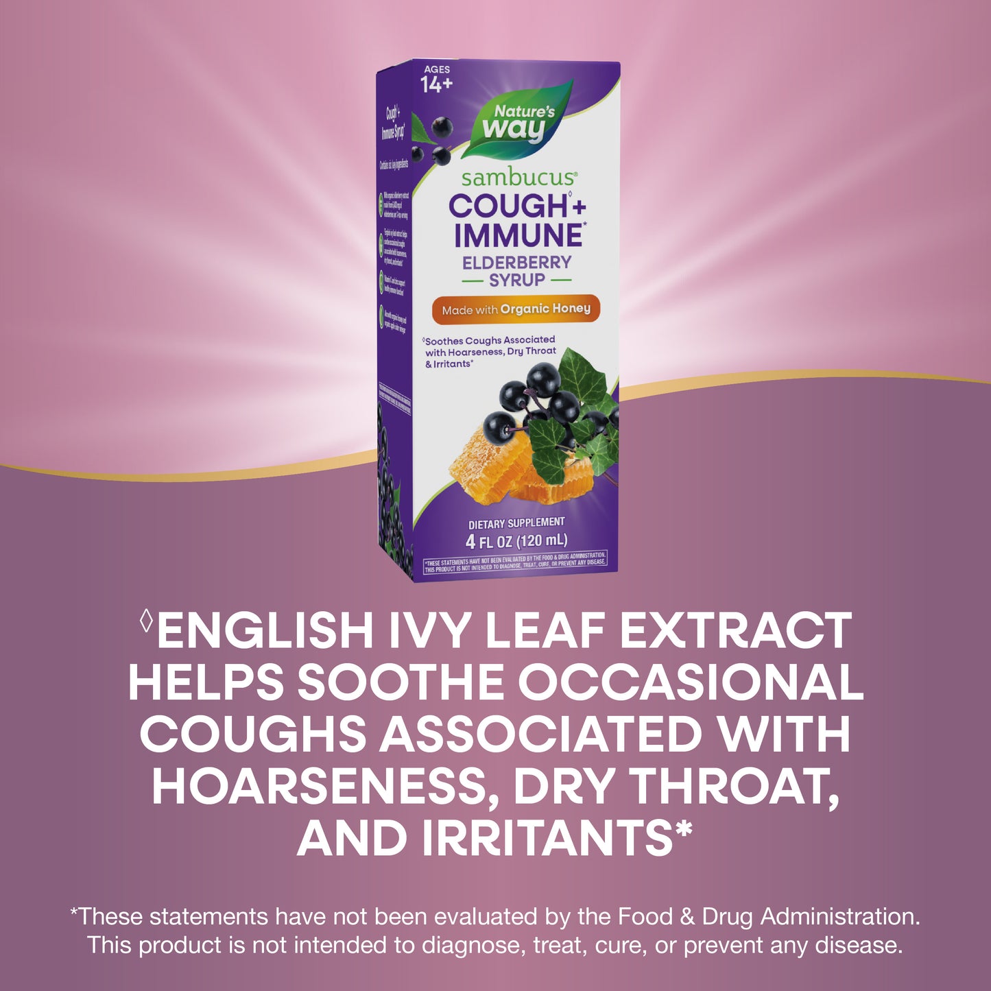 <{%MAIN3_13313%}>Nature's Way® | Sambucus Cough♢ + Immune* Elderberry Syrup