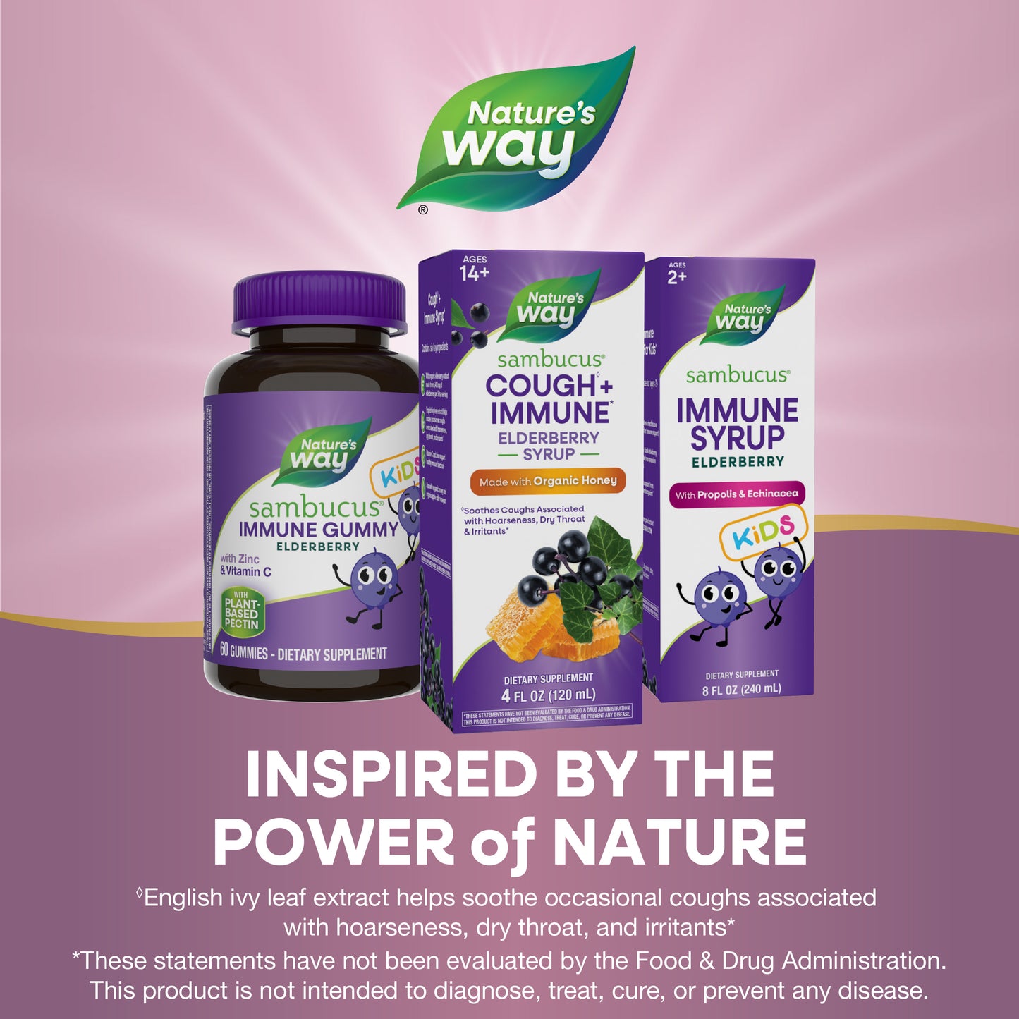 <{%MAIN5_13313%}>Nature's Way® | Sambucus Cough♢ + Immune* Elderberry Syrup
