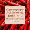 Nature's Way® | Cayenne Fruit Sku:11500