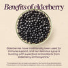 Nature's Way® | Sambucus Traditional Elderberry Immune Syrup Sku:15796